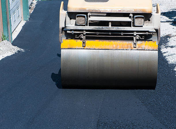 Best Driveway Border and Edging  in Watkins Glen, NY